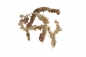 Preview: Sphagnum Moos 150 Gramm aus Chile